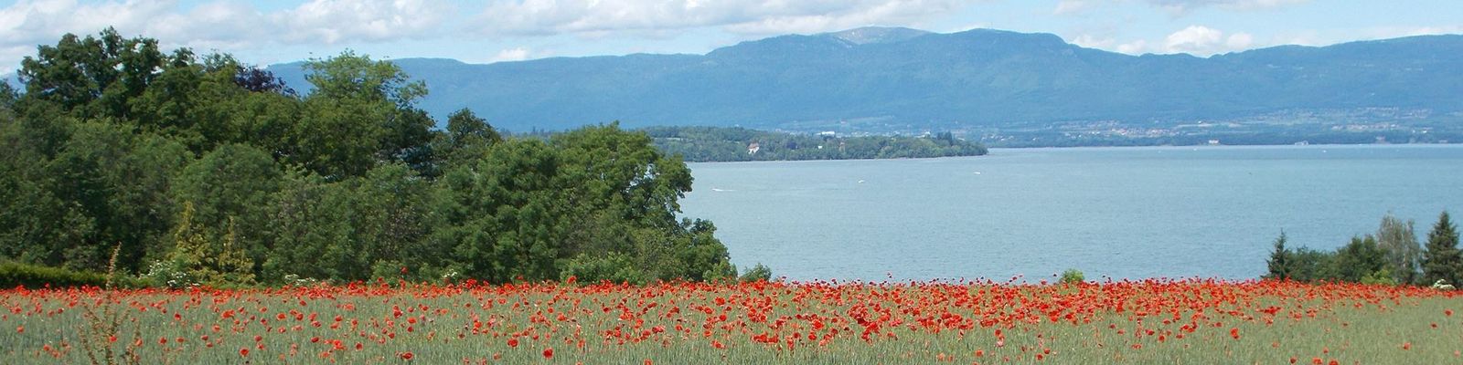 Massongy chablais Massongy hautesavoie France